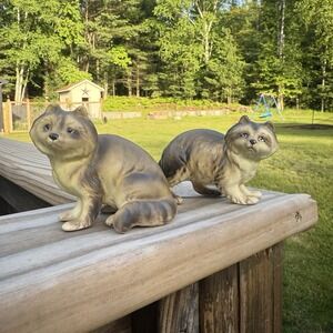 Vintage Enesco Raccoon Salt and Pepper Shaker Camp Cottage Woods Lake